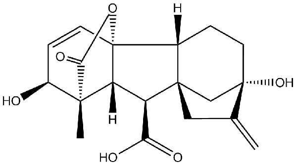 赤霉素GIBBERELLIC ACID，居然有這么神奇？